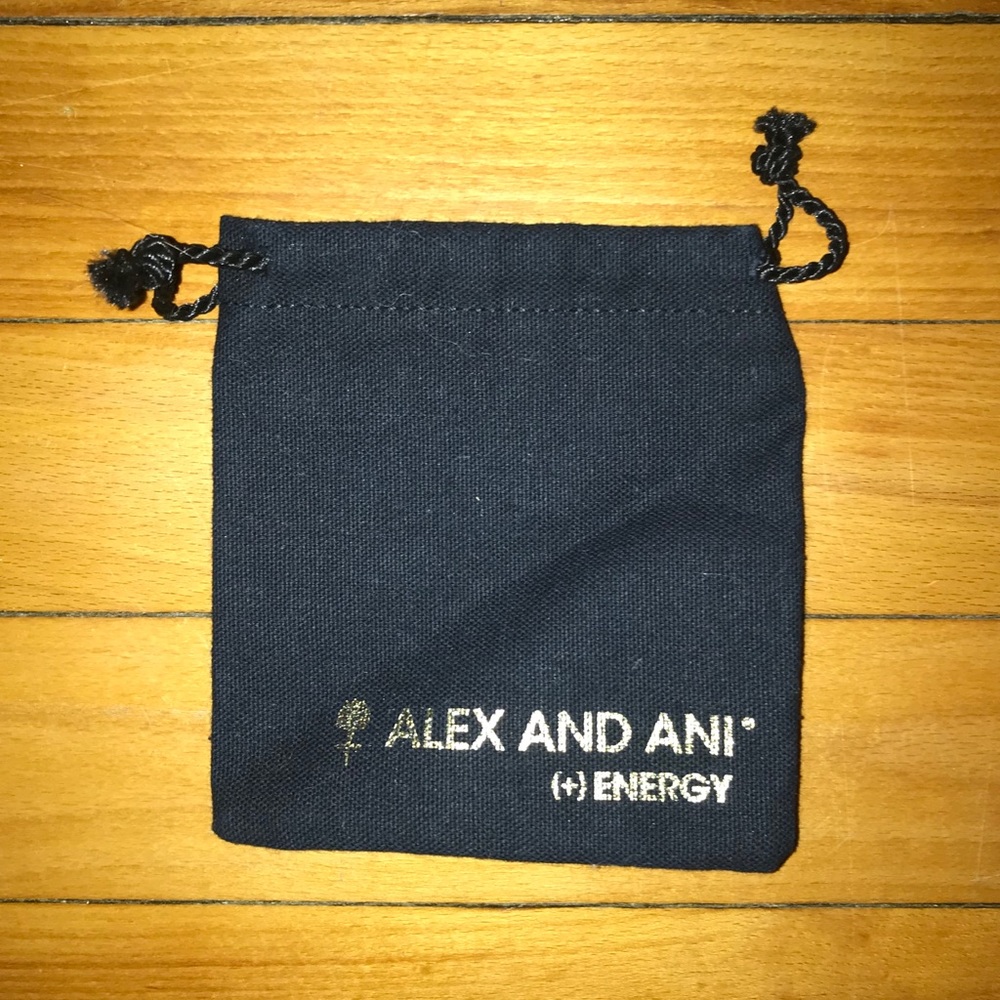 Alex and Ani Bracelet Bag